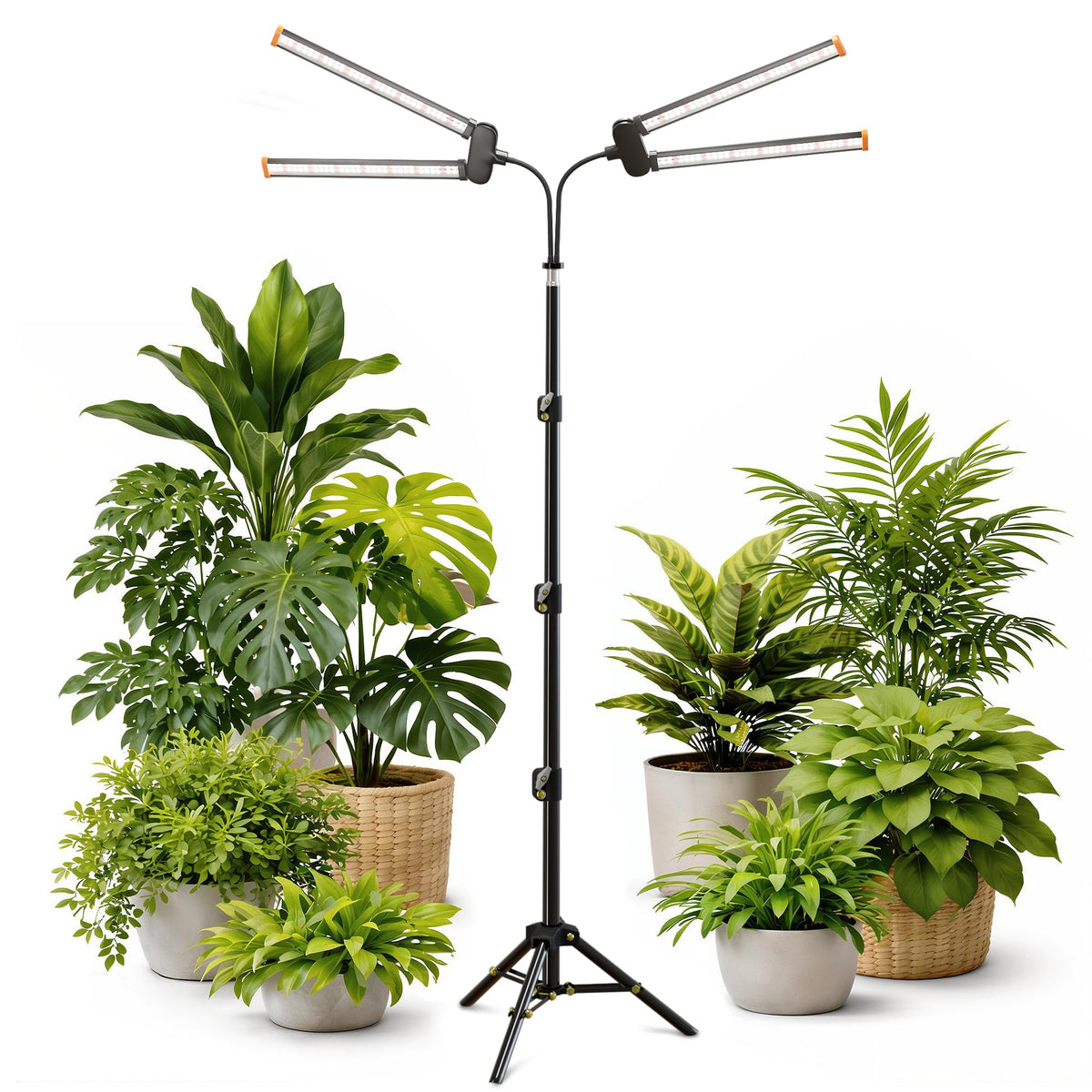 Quehoomii 61'' Grow Light Floor Lamp,6000K White Full Spectrum Growing Light for Indoor Tall Large Plants,Half or Full Brightness Dimmable & Auto Timer,Adjustable Height 17-61",