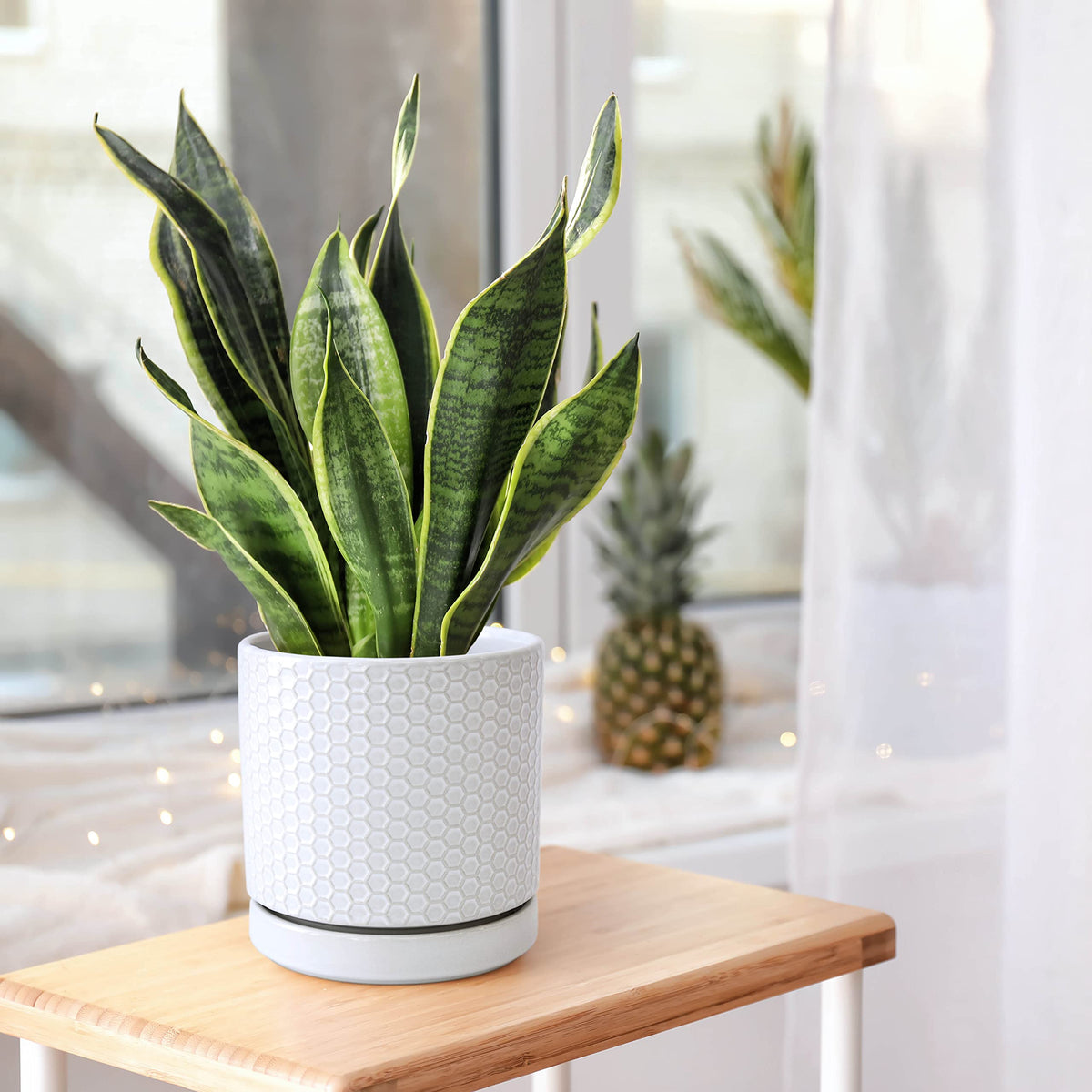 D'vine Dev Set of 2 Modern Matte White Honeycomb Embossed Ceramic Planter Pots with Saucer and Drainage Hole, 4 Inch & 6 Inch, 99-C-1-N