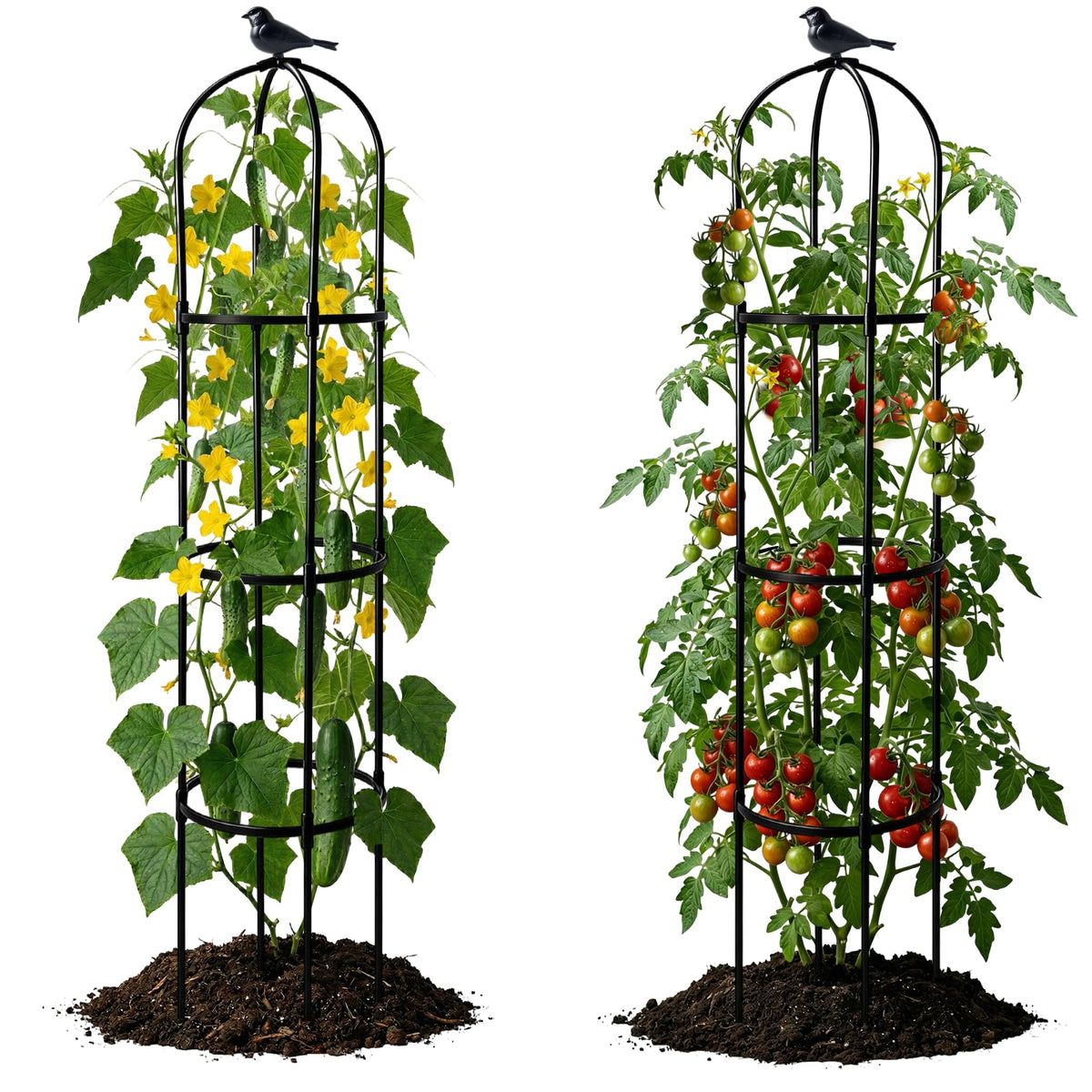 2 Pack Garden Obelisk Trellis for Climbing Plants, 6FT Plant Cages and Supports, Tomato Cage Tall Plant Stakes Indoor & Outdoor, Trellis for Potted Plants, Vegetables, Fruits, Flowers, Pots, Vines