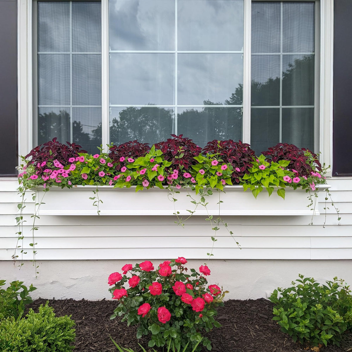 Mayne 4826-W Yorkshire Window Box, 6-Foot, White