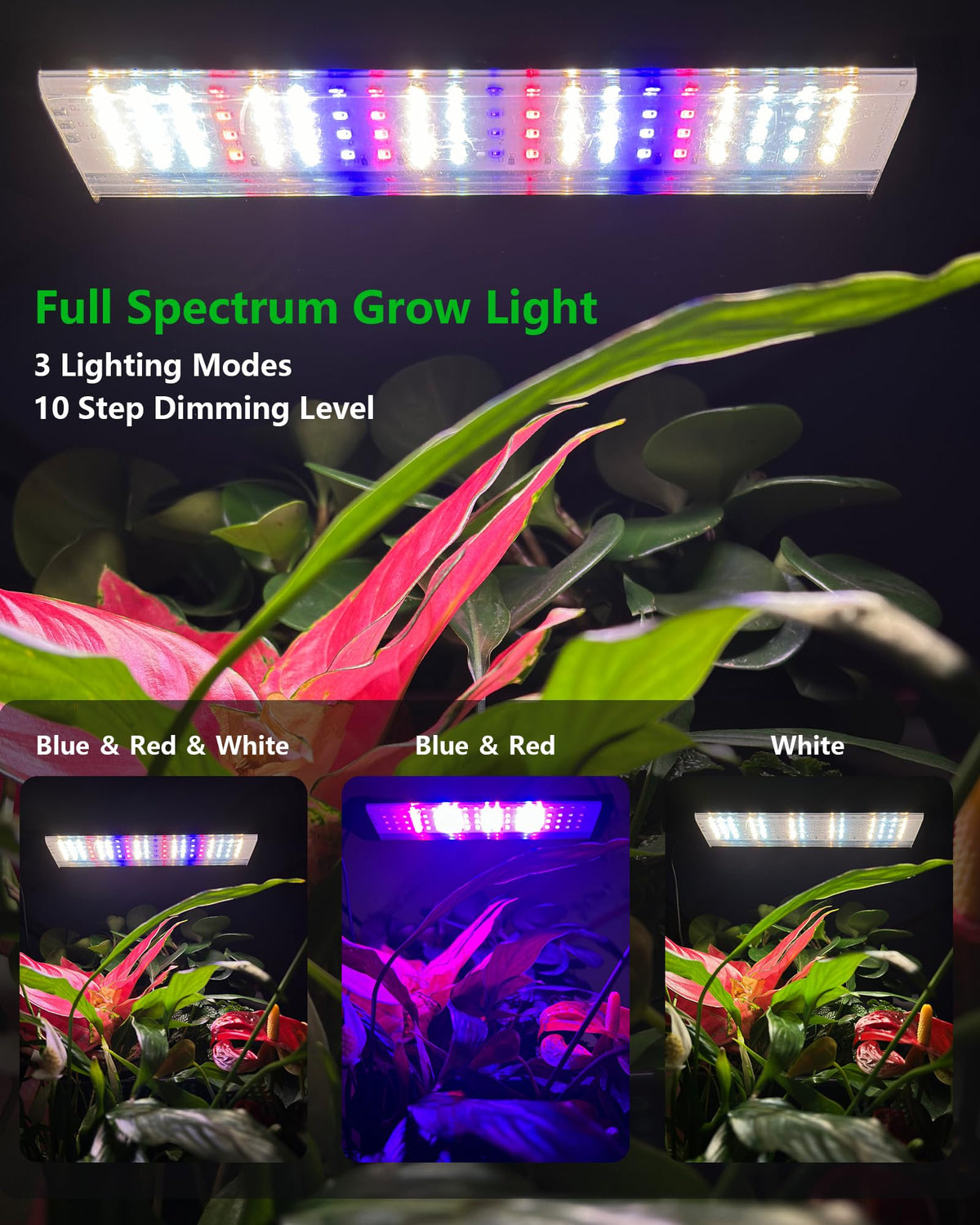 DPROOTS Wall Planters for Indoor Plants with Grow Light & Self Watering System, 6-Pot Vertical Garden for Herbs, Vegetables, Flowers, Succulents, Includes Screws & Expansion Pipes