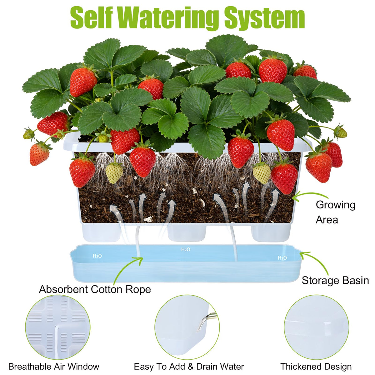 Oliz Window Box Planter 6 Packs, 13.8 Inches Rectangle Flower Pots with Drainage Holes & Trays, Pots for Vegetables, Herbs, Flowers, Garden Windowsill Balcony (Translucent White)