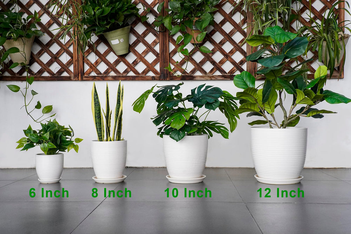 EPFamily Ceramic Pots for Plants - 6 Inch Plant Pot with Drainage Hole and Saucer, Round Planters for Indoor Outdoor, Flower Pots, Modern Planter, Home Office Room Decor, Gifts for Plant Lovers, White