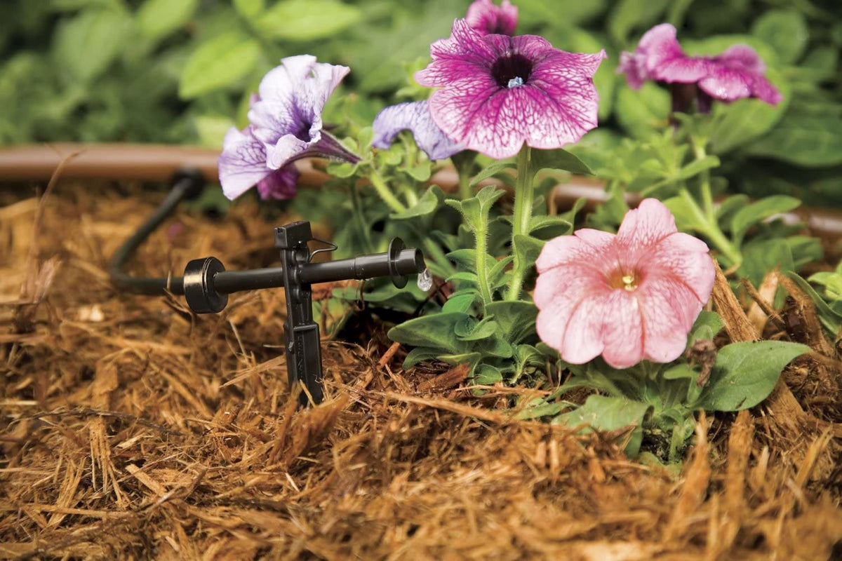 Rain Bird SW10-30PS Drip Irrigation Spot Watering Dripper/Emitter, 1 Gallon Per Hour, 30-Pack