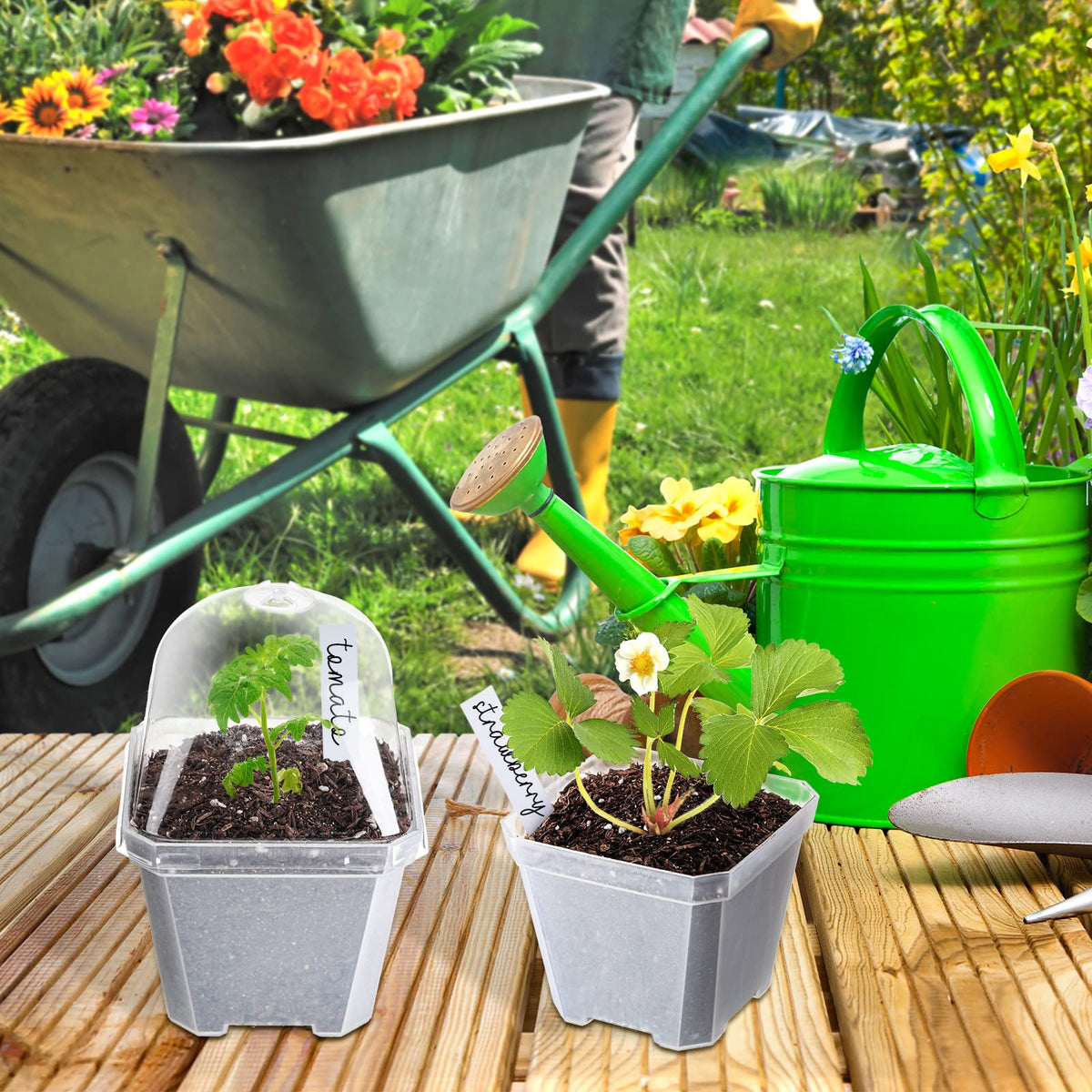 42 Pack 4 Inch Clear Plant Nursery Pot Sets with Humidity Dome and Drain Holes Include 20 Plastic Gardening Pot 20 Labels, 2 Marker Pen Seed Starting Container for Seedlings Vegetables Succulents