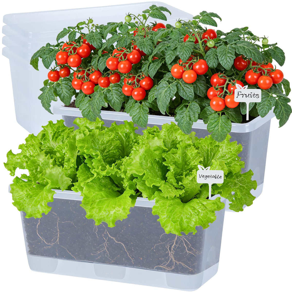 Oliz Window Box Planter 6 Packs, 13.8 Inches Rectangle Flower Pots with Drainage Holes & Trays, Pots for Vegetables, Herbs, Flowers, Garden Windowsill Balcony (Translucent White)