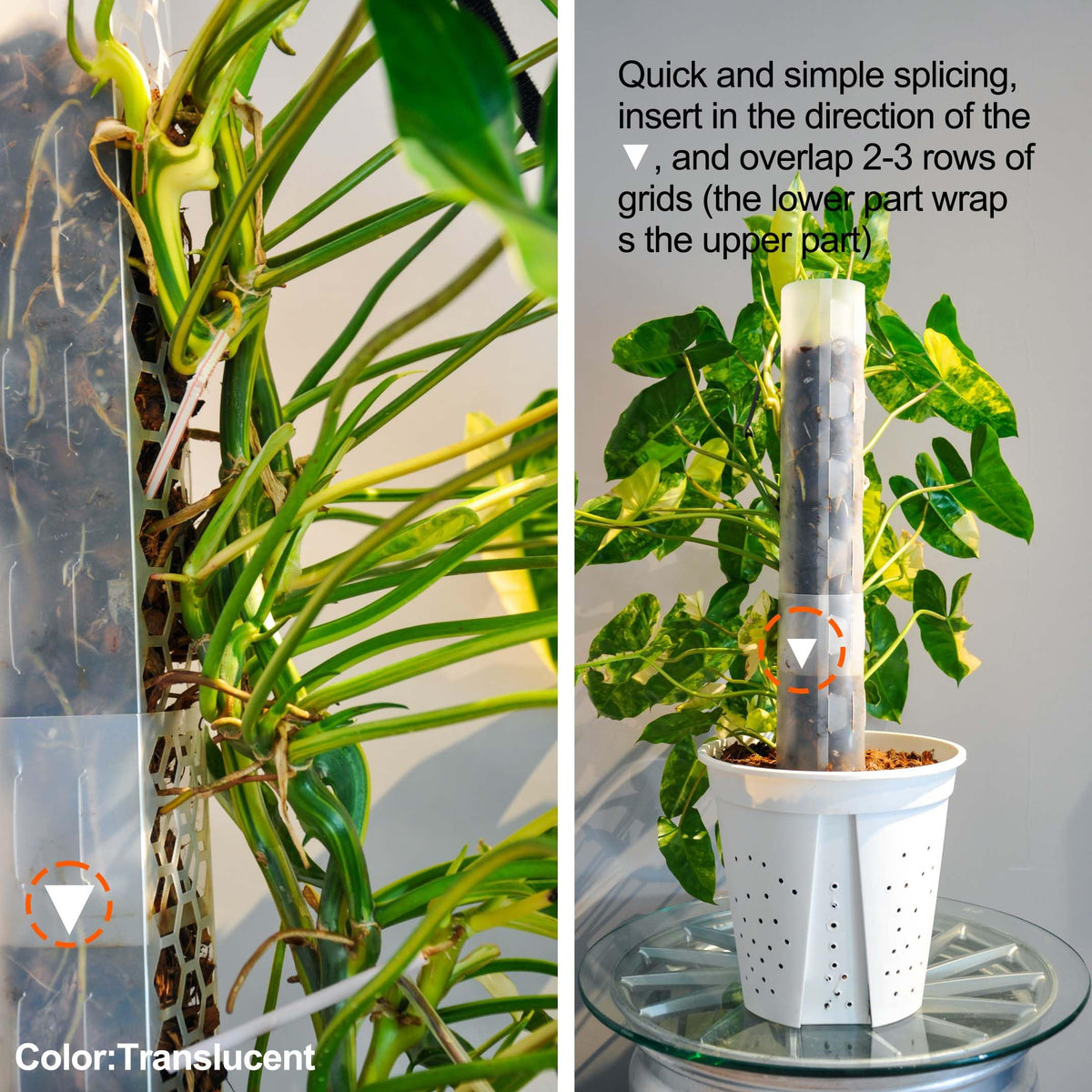 6 Pack Plastic Moss Pole for Monstera and Climbing Plants -Stackable Plant Support Stakes for Indoor Plants, Sphagnum Moss Compatible Poles for Aroid, Pothos, Philodendron