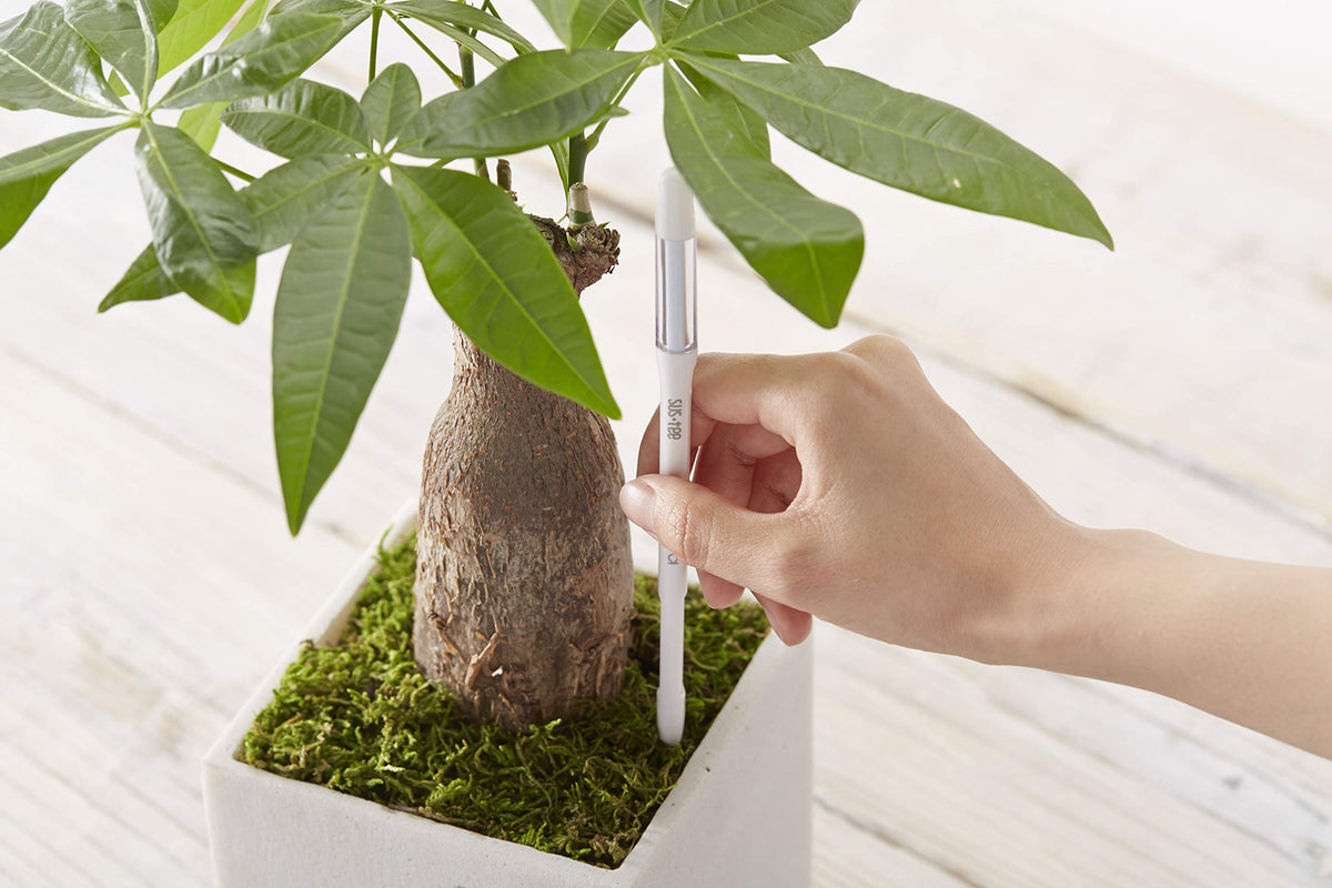 Sustee Aquameter, Set of 5, Plant Soil Moisture Sensor (Green, Small)