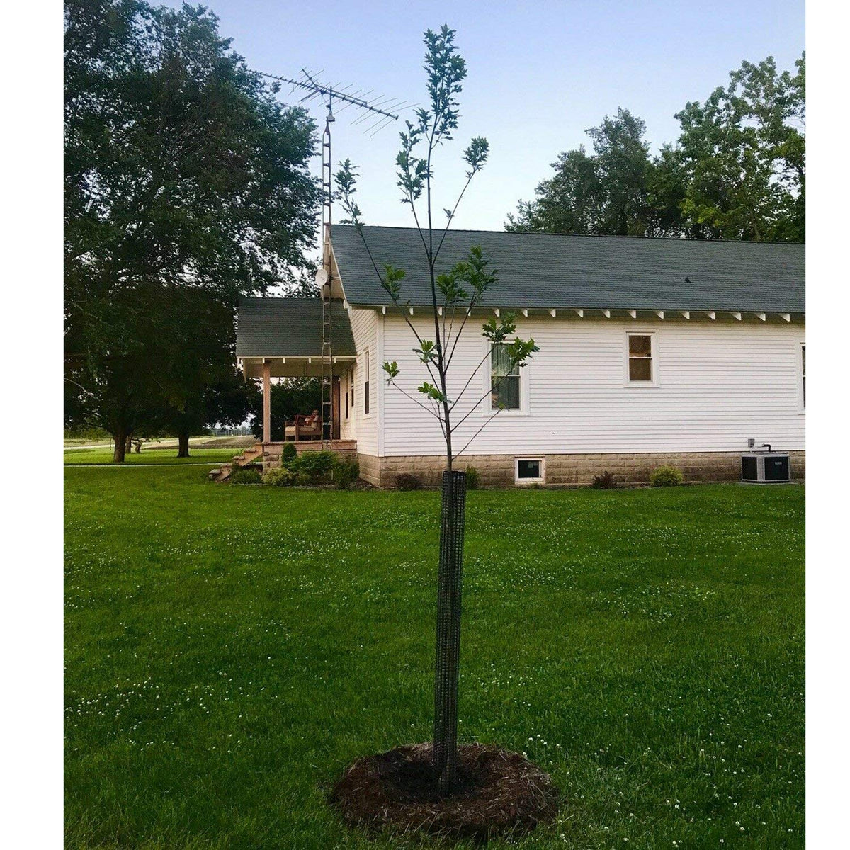 Voglund Nursery Mesh Tree Bark Protector Guard 48 Inches Tall (5 Pack) Heavy Duty with Zip-Ties, Tree Trunk Protectors from Trimmers, Tree Guard, Tree Protector for Saplings and Fruit Trees